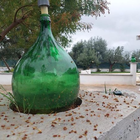 Il Vecchio Carrubo - Villa Con Piscina A Sfioro Macchia di Monte Exterior foto
