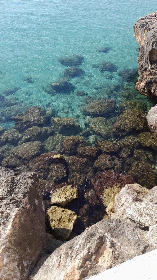 Il Vecchio Carrubo - Villa Con Piscina A Sfioro Macchia di Monte Exterior foto